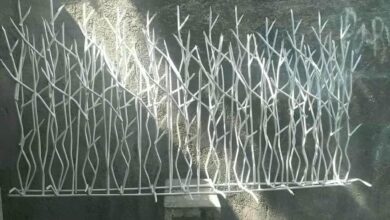 حفاظ شاخ گوزنی در تهران