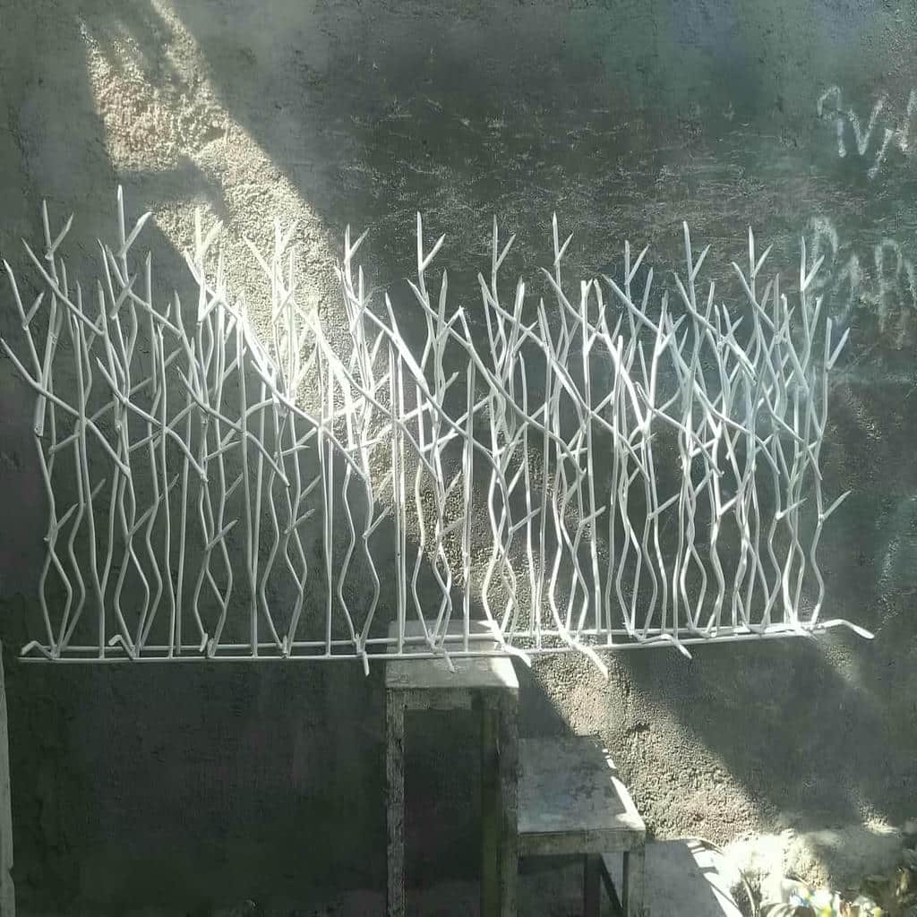 حفاظ شاخ گوزنی در تهران