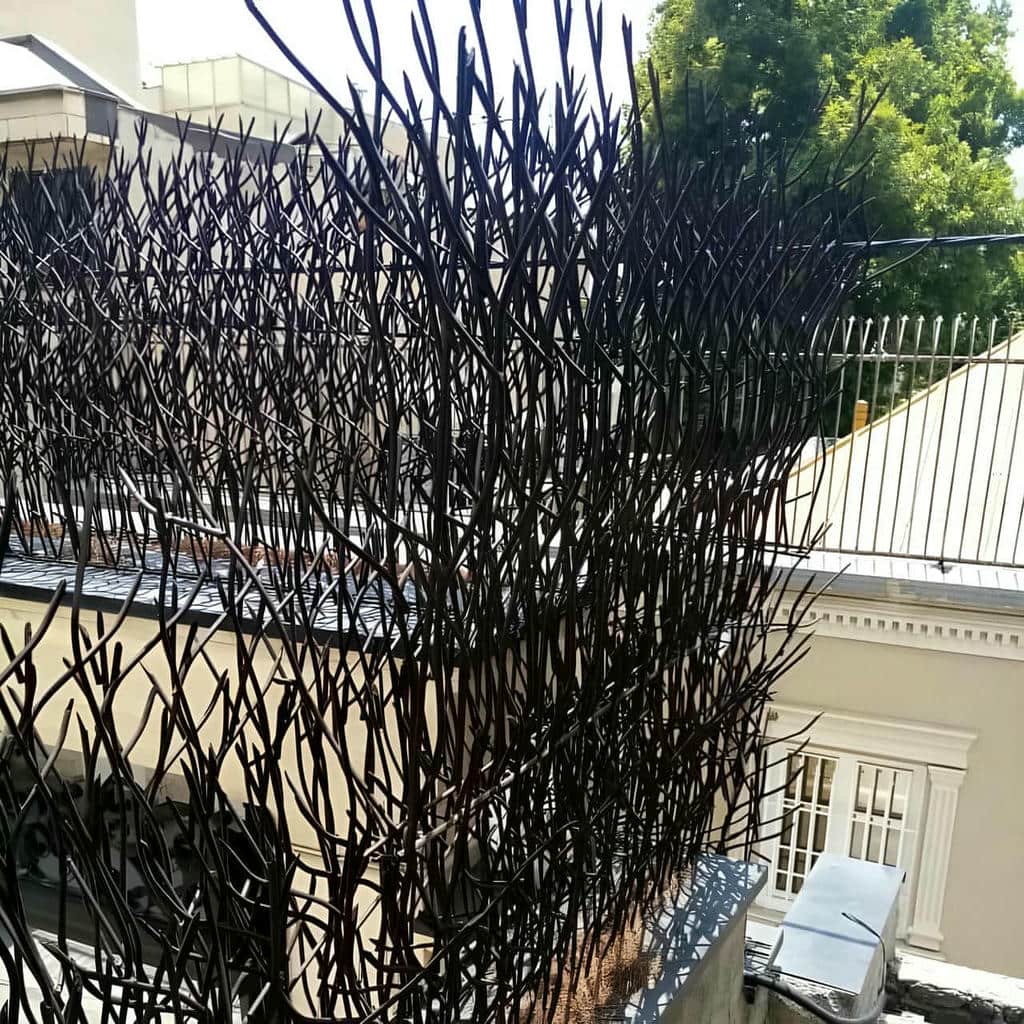 حفاظ شاخ گوزنی در اصفهان