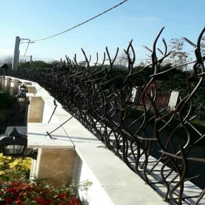 حفاظ شاخ گوزنی در بندر لنگه