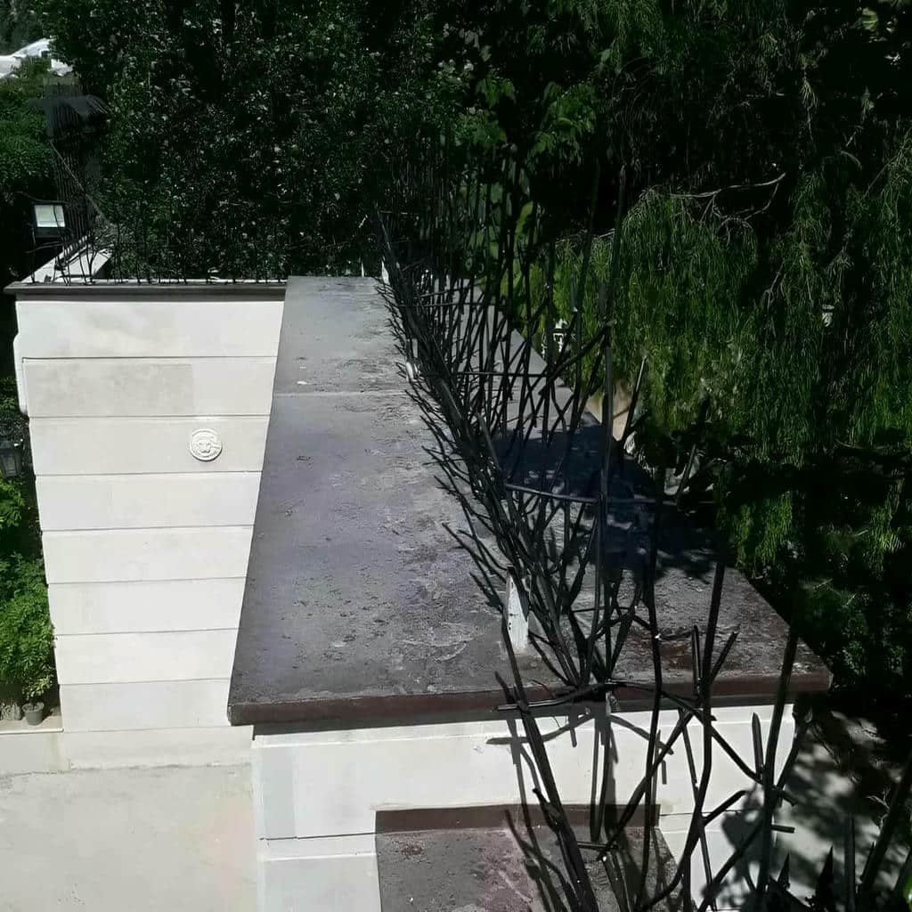 حفاظ شاخ گوزنی در بندر انزلی