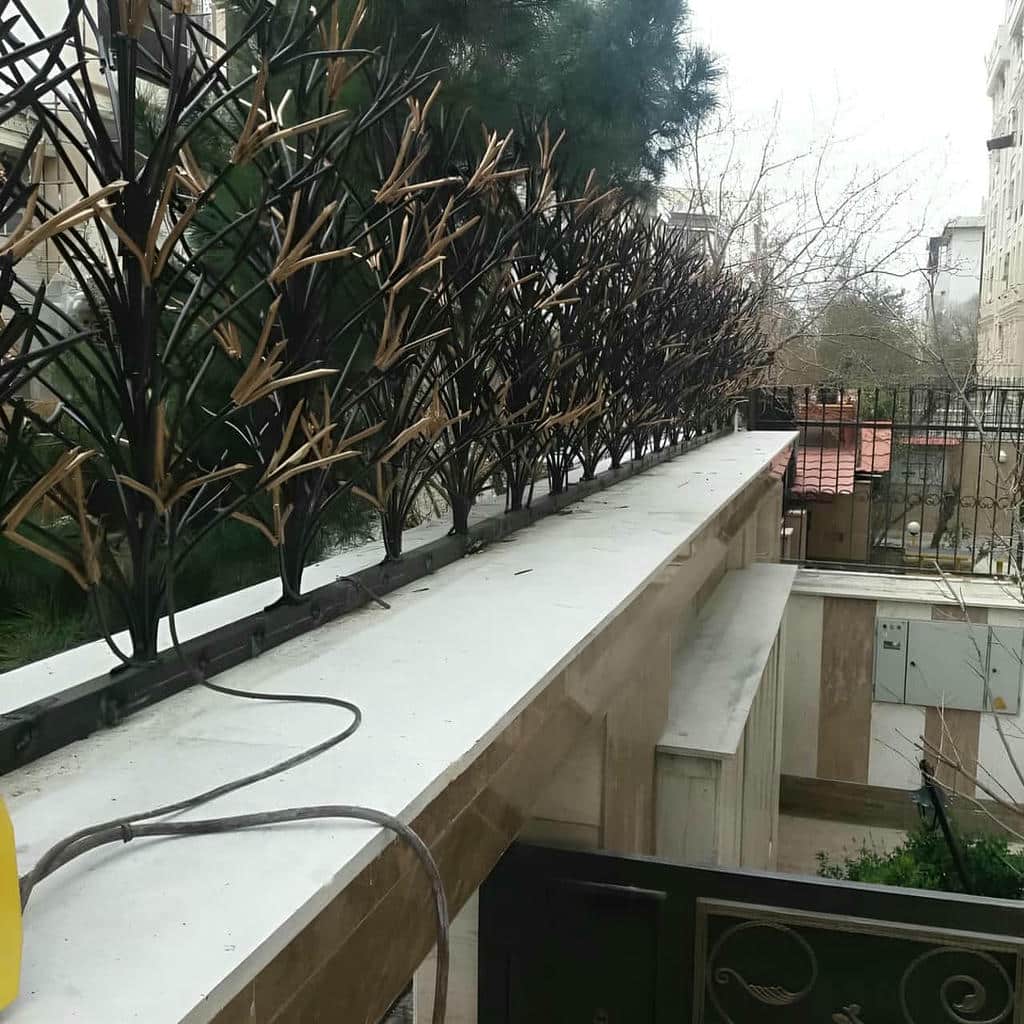 حفاظ شاخ گوزنی در آبادان
