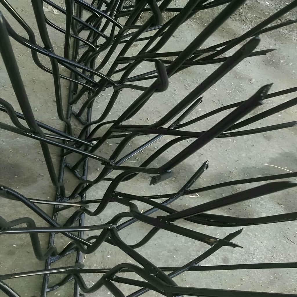حفاظ شاخ گوزنی در کاشان