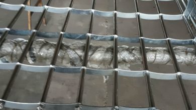 کرکره برقی در اندیشه