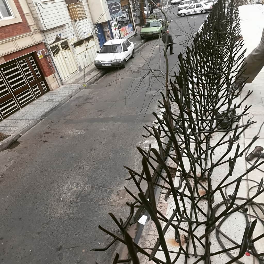خرید حفاظ بوته ای برای دیوار باغ