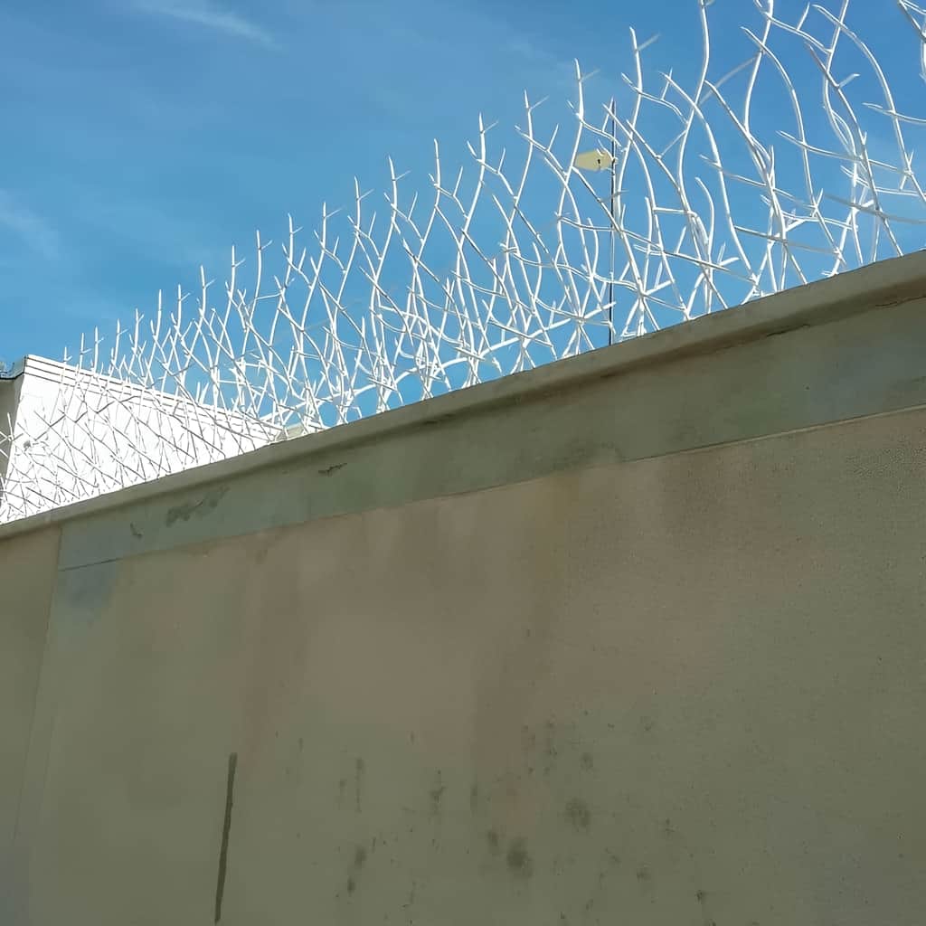 حفاظ شاخ گوزنی خاردار با رنگ مقاوم سطح