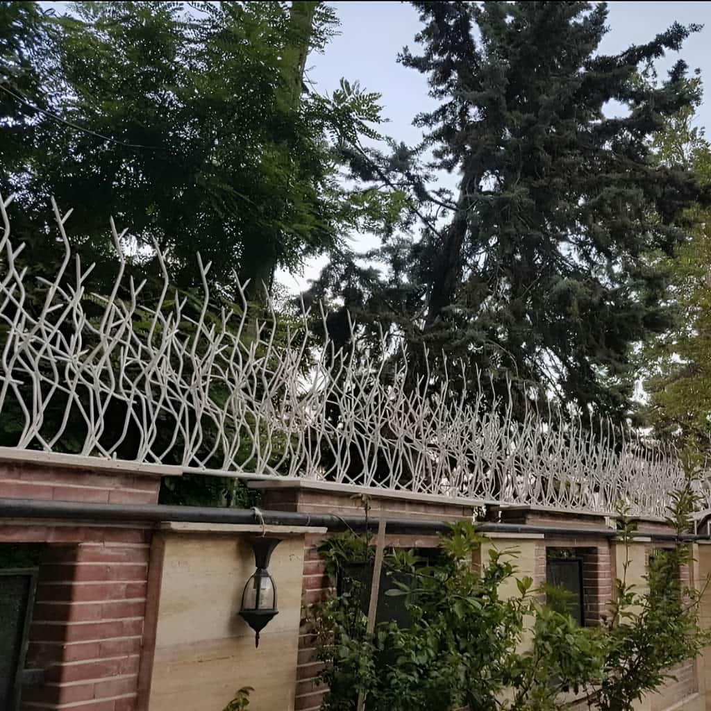 حفاظ شاخ گوزنی با نصب محکم روی دیوار