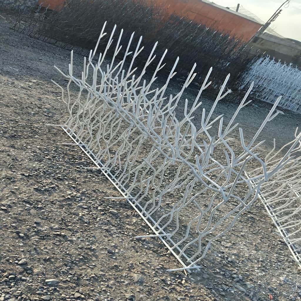 حفاظ شاخ گوزنی خاردار با نصب محکم روی دیوار