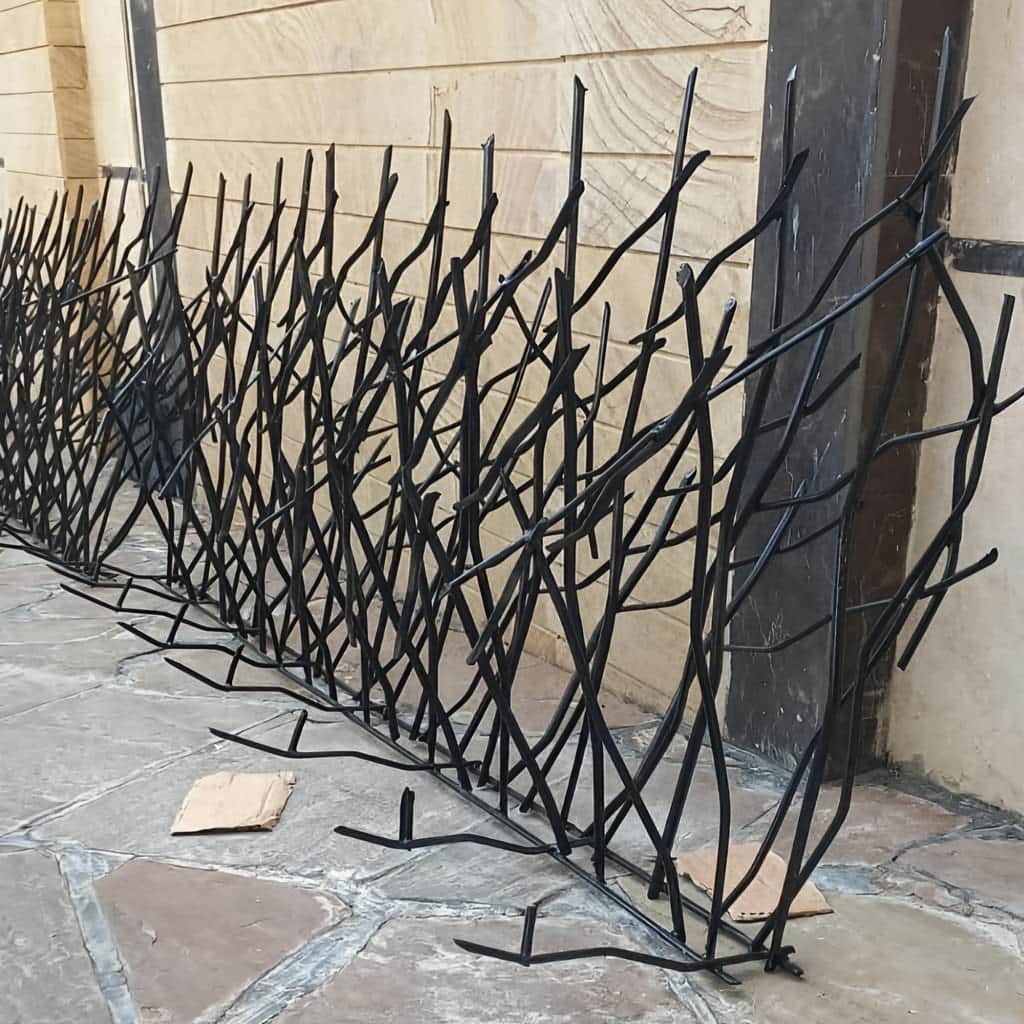 حفاظ شاخ گوزنی با رنگ آمیزی مناسب سطح
