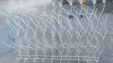 حفاظ دیوار کلاسیک برای نمای اصیل