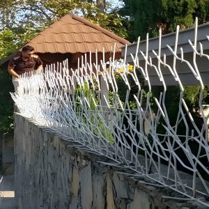 نرده حفاظ دیوار مقاوم برای محوطه
