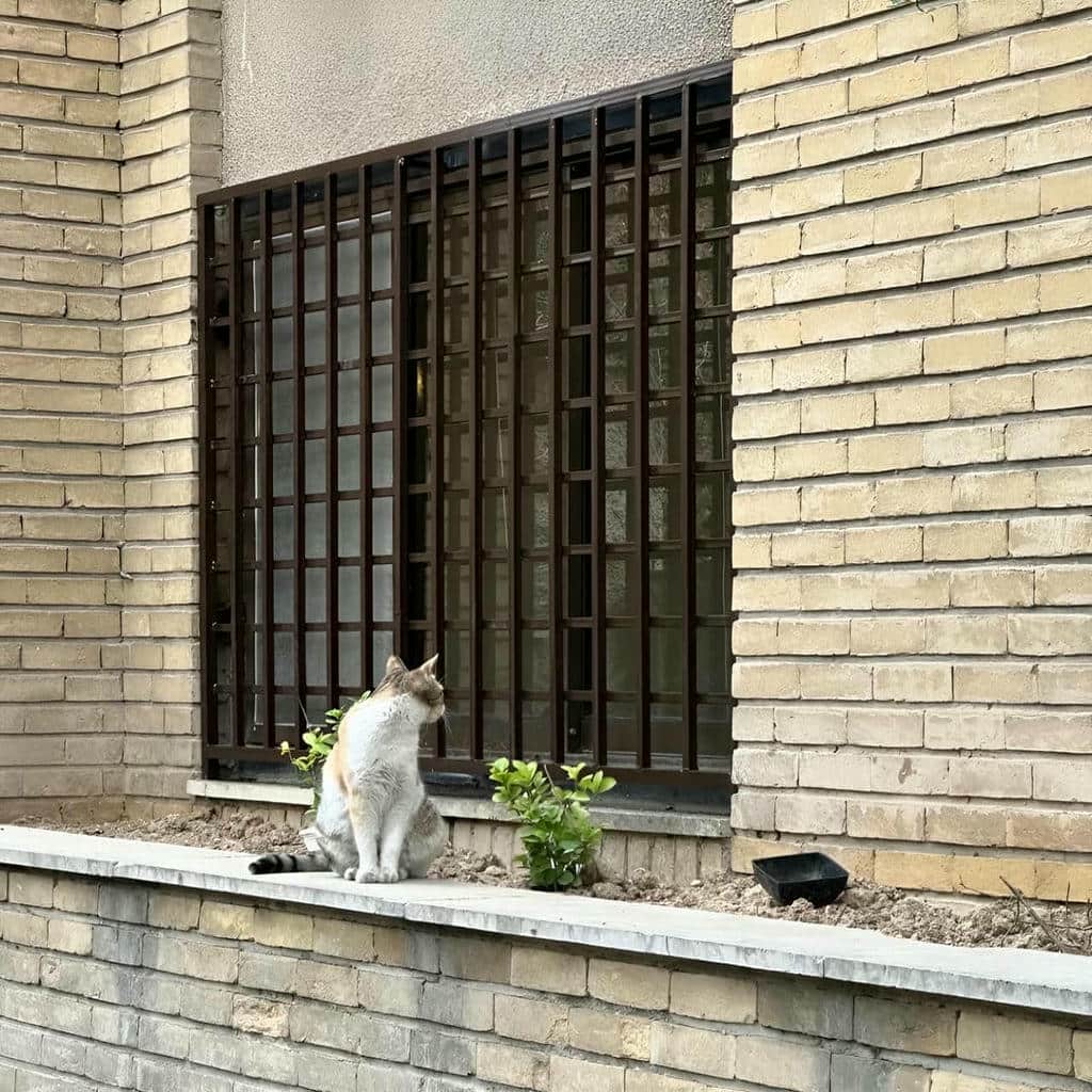 نرده پنجره فلزی سفارشی