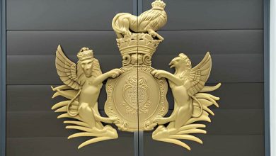 درب پارکینگ طرح چوب با فریم تقویت شده و رنگ مقاوم