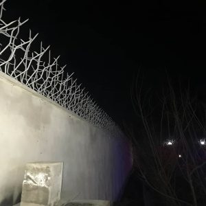 خرید حفاظ شاخ گوزنی برای ایمن سازی دیوار ساختمان