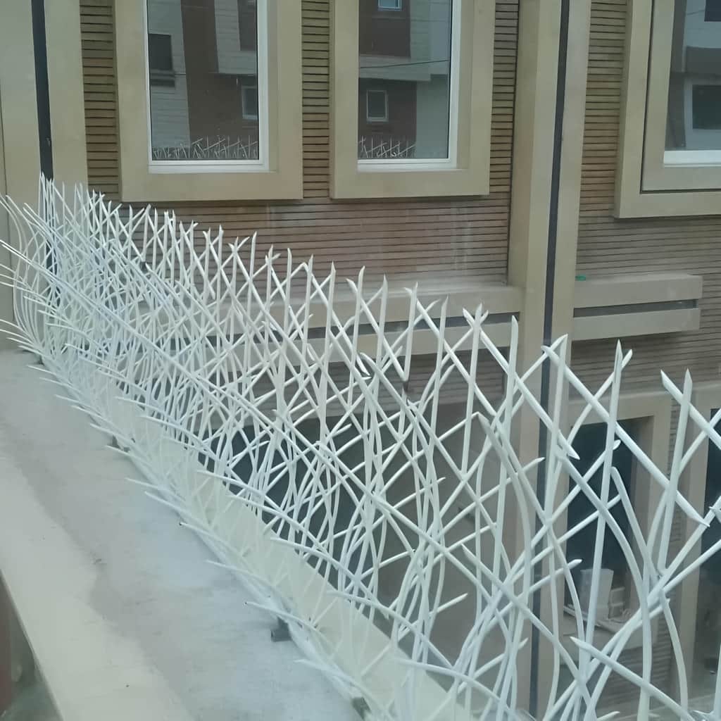 حفاظ نیزار در مرحله اندازه گیری دیوار نوساز
