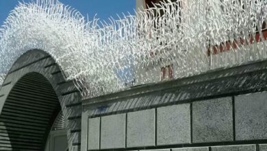 حفاظ شاخ گوزنی طرح f با شاخه های منظم روی دیوار