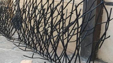 حفاظ شاخ گوزنی با شاخه های متراکم روی دیوار ویلا