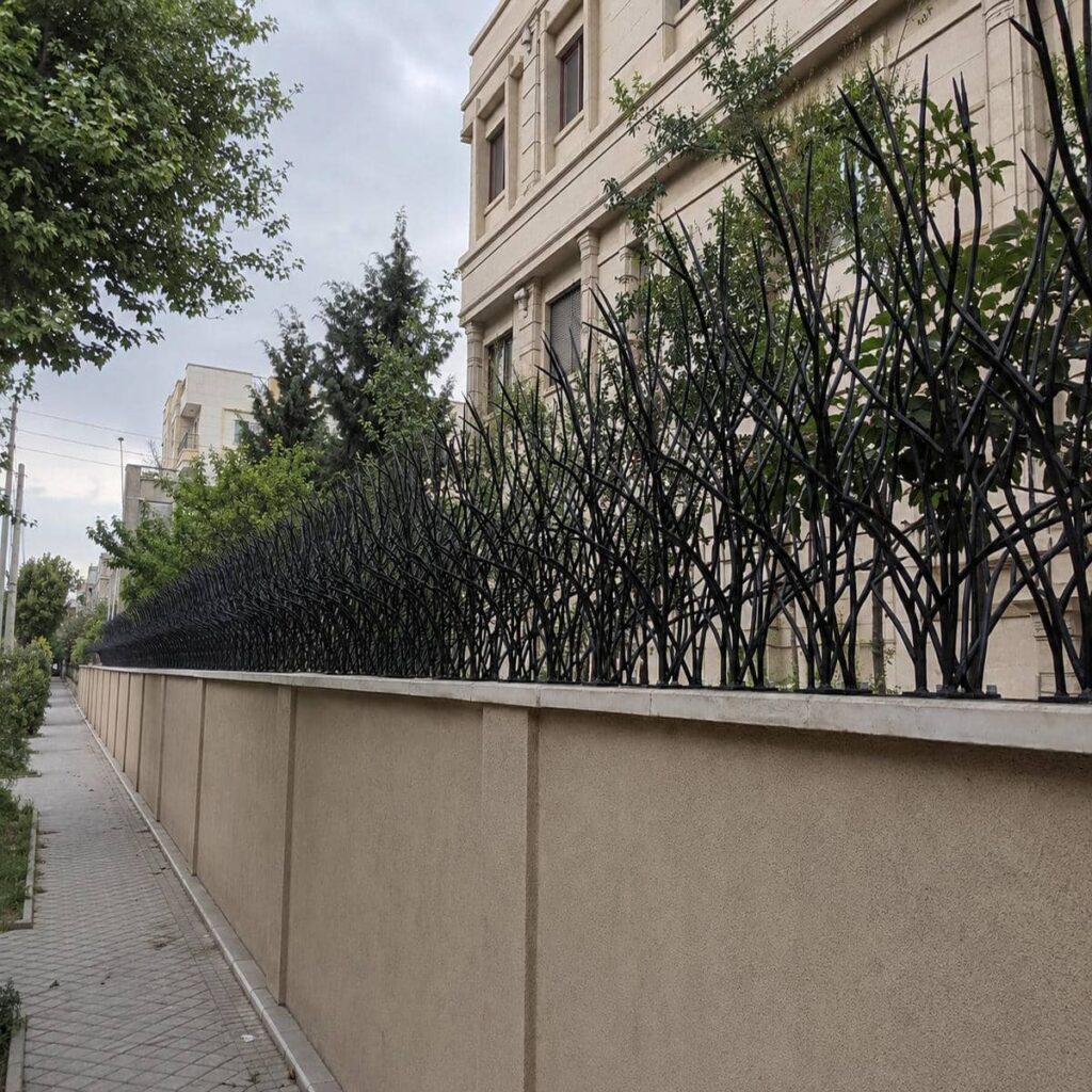 حفاظ دیوار شاخ گوزنی مشکی در استان یزد