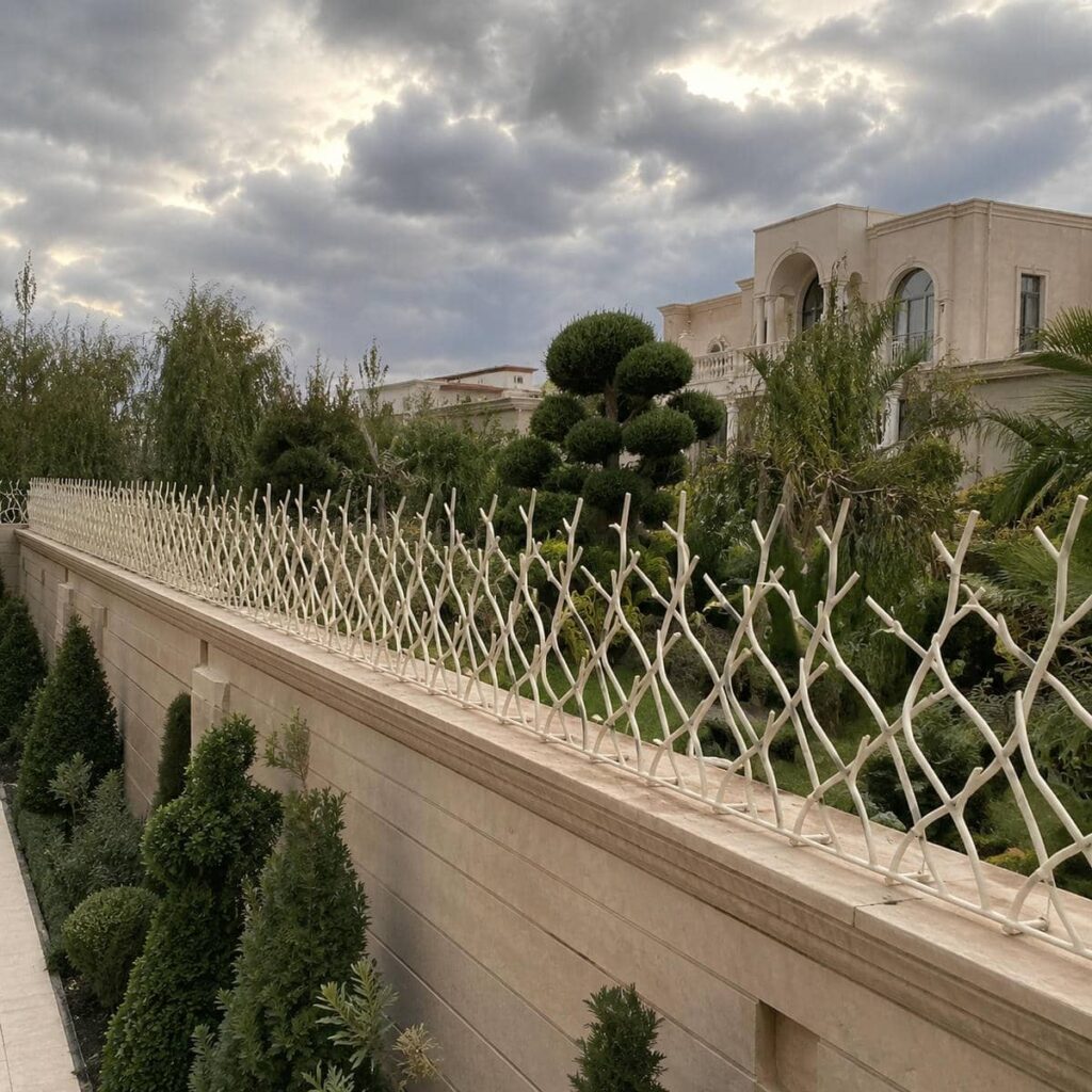 حفاظ دیوار شاخ گوزنی مشکی در کرمان