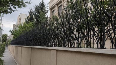 حفاظ دیوار شاخ گوزنی مشکی در استان یزد