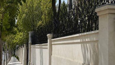 حفاظ دیوار شاخ گوزنی مشکی در زنجان