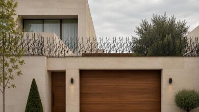 حفاظ دیوار شاخ گوزنی مشکی در یزد